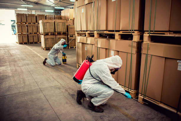 Best Emergency Pest Control  in New Whiteland, IN