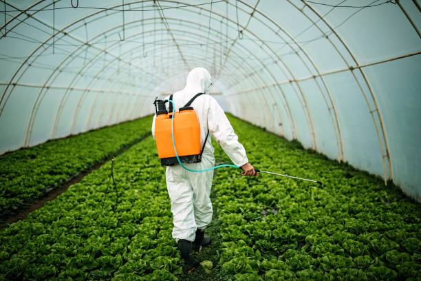 Best Local Pest Control Services  in New Whiteland, IN