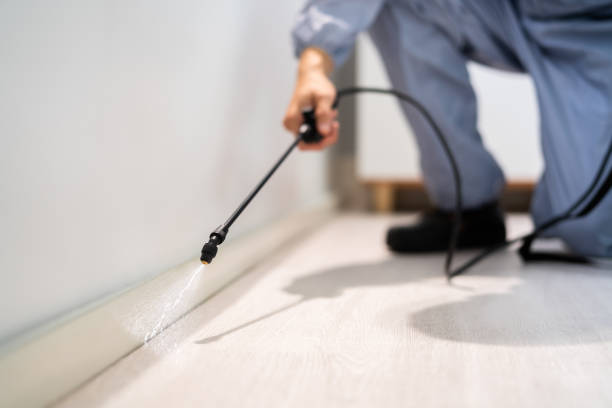 Flea Control Services in New Whiteland, IN
