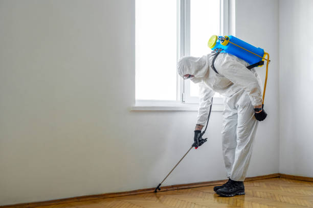 Best Pest Control Near Me  in New Whiteland, IN