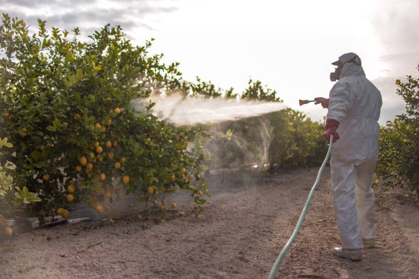 Best Best Pest Control Companies  in New Whiteland, IN