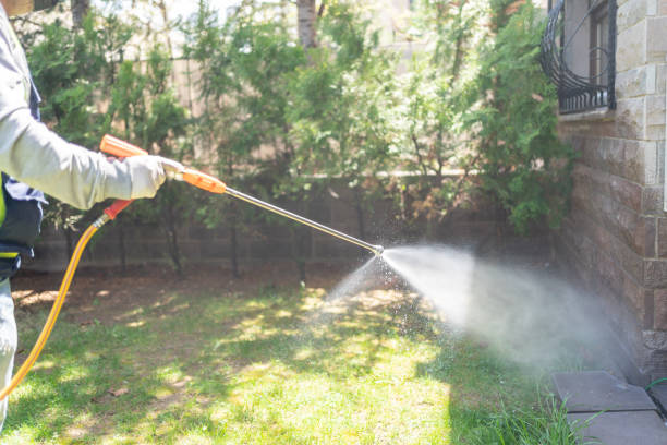 Trusted New Whiteland, IN Pest Control Experts