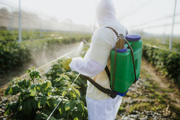 New Whiteland, IN Pest Control Company